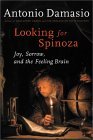 Looking for Spinoza: Joy, Sorrow, and the Feeling Brain - Antonio Damasio